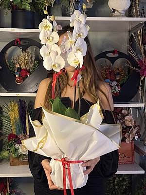 �ift Dal Beyaz orkide